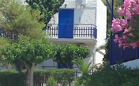 Aetos Beach Bungalows